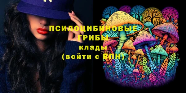 таблы Козловка
