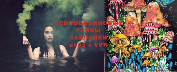 таблы Козловка